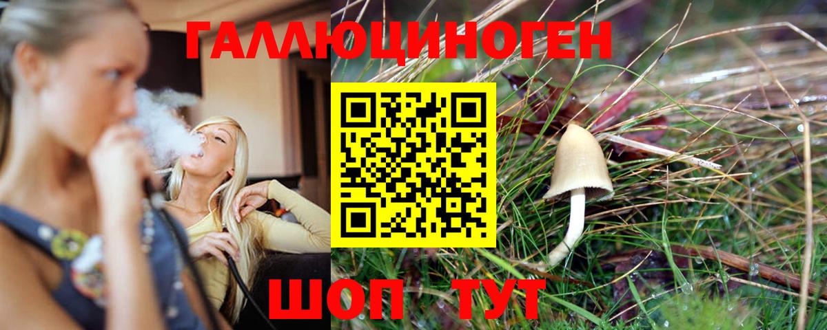 Псилоцибиновые грибы прущие грибы Котлас